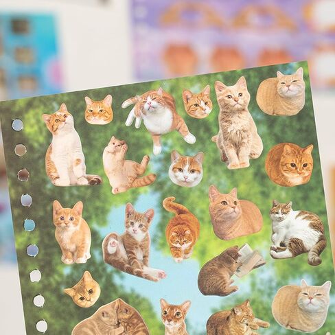Cat Sticker Book with Meme Stickers 30 Pages Over 800 Die Cut Stickers with 3 Coating Types for Scrapbook Journal and Planner Sticker Album with Premium Art Paper and Cute Design in Saudi Arabia