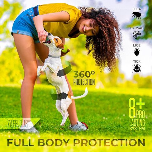 الوقاية من البراغيث والقراد للكلاب - طوق البراغيث - عدد 2 - قابل للتعديل in Kuwait