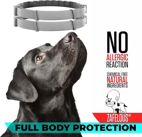 الوقاية من البراغيث والقراد للكلاب - طوق البراغيث - عدد 2 - قابل للتعديل in Kuwait