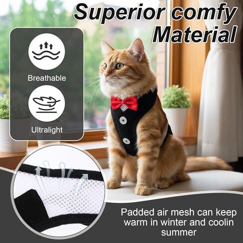 Cat Harness Leash Set for Walking Soft Adjustable Cats Vest Harnesses Escape Proof Comfortable Breathable Mesh Kitten Anti-Escape Leash Chest Harness Easy to Wear for Outdoor Travel in Saudi Arabia