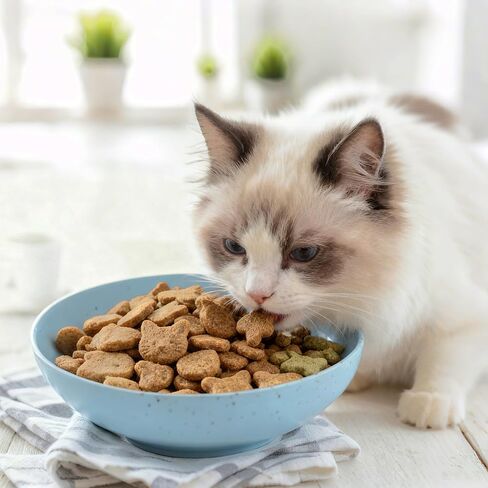 10 عبوات من أطباق القطط، أطباق القطط الصغيرة، أوعية طعام القطط المتينة المصنوعة من قش القمح للقطط الداخلية والخارجية in Kuwait