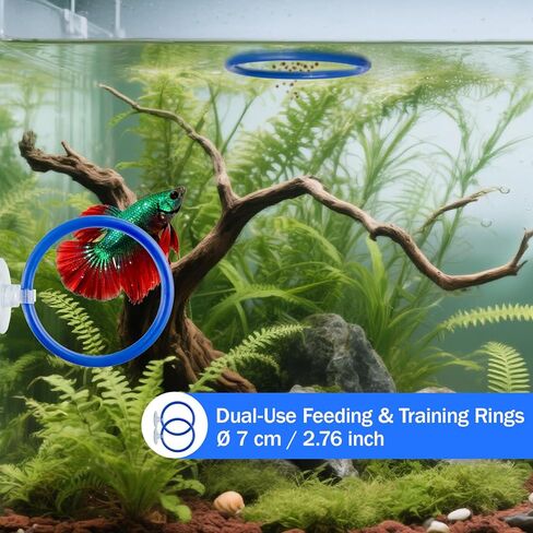 Betta Fish Toy Set,Betta Training Floating Mirror, Training/Feeding Ring, Spoon, and Resting Leaf. Promotes Exercise. Betta Toys, Resting & Feeding Kit in Saudi Arabia