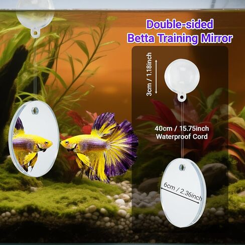Betta Fish Toy Set,Betta Training Floating Mirror, Training/Feeding Ring, Spoon, and Resting Leaf. Promotes Exercise. Betta Toys, Resting & Feeding Kit in Saudi Arabia