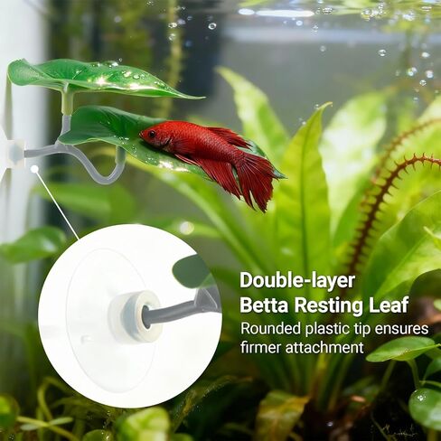 Betta Fish Toy Set,Betta Training Floating Mirror, Training/Feeding Ring, Spoon, and Resting Leaf. Promotes Exercise. Betta Toys, Resting & Feeding Kit in Saudi Arabia