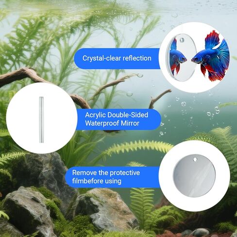 Betta Fish Toy Set,Betta Training Floating Mirror, Training/Feeding Ring, Spoon, and Resting Leaf. Promotes Exercise. Betta Toys, Resting & Feeding Kit in Saudi Arabia