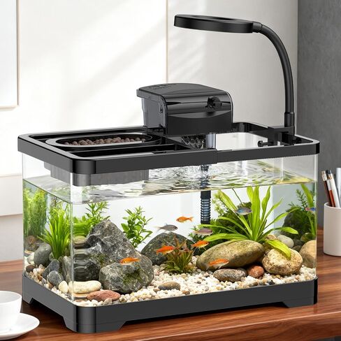 Pawfly 2.75 Gallon Fish Tank, Small Aquarium Kit, Betta Fish Tank Starter Kit with 6 W LED Light, 65 GPH Filter, Siphon Vacuum Water Changer & Basket, Aquarium for Betta, Shrim, or Small Fishes in Saudi Arabia