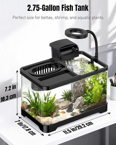 Pawfly 2.75 Gallon Fish Tank, Small Aquarium Kit, Betta Fish Tank Starter Kit with 6 W LED Light, 65 GPH Filter, Siphon Vacuum Water Changer & Basket, Aquarium for Betta, Shrim, or Small Fishes in Saudi Arabia