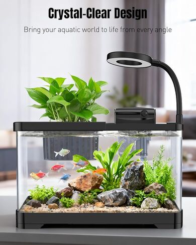 Pawfly 2.75 Gallon Fish Tank, Small Aquarium Kit, Betta Fish Tank Starter Kit with 6 W LED Light, 65 GPH Filter, Siphon Vacuum Water Changer & Basket, Aquarium for Betta, Shrim, or Small Fishes in Saudi Arabia