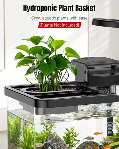 Pawfly 2.75 Gallon Fish Tank, Small Aquarium Kit, Betta Fish Tank Starter Kit with 6 W LED Light, 65 GPH Filter, Siphon Vacuum Water Changer & Basket, Aquarium for Betta, Shrim, or Small Fishes in Saudi Arabia
