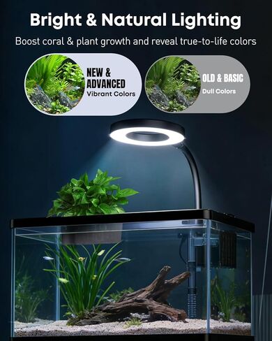 Pawfly 2.75 Gallon Fish Tank, Small Aquarium Kit, Betta Fish Tank Starter Kit with 6 W LED Light, 65 GPH Filter, Siphon Vacuum Water Changer & Basket, Aquarium for Betta, Shrim, or Small Fishes in Saudi Arabia