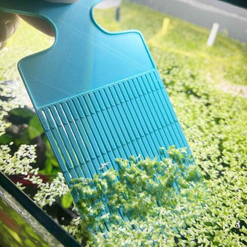 Aquarium Duckweed Removal Tool, 6.5 x 3 inch Floating Plant Comb Spatula, Aquatic Tank Cleaning Tool in Saudi Arabia