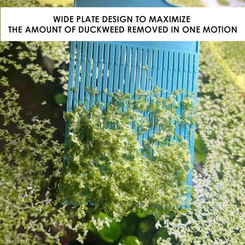 Aquarium Duckweed Removal Tool, 6.5 x 3 inch Floating Plant Comb Spatula, Aquatic Tank Cleaning Tool in Saudi Arabia