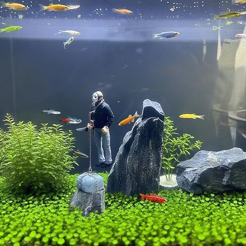 زخرفة خزان الأسماك العائمة، زخرفة عائمة مصنوعة يدويًا لتزيين حوض الأسماك، تصميم فريد من نوعه، شخصية مفعمة بالحيوية، مثالية للمناظر الطبيعية لحوض السمك، مادة متينة، ديكور ملفت للنظر in Kuwait