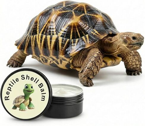 كريم بلسم صدفة مرهم السلحفاة - بلسم العناية بالصدفة للسلاحف الصندوقية، والسولكاتا، والروسية، وسلحفاة الصحراء الجافة، والمتشققة أو الباهتة in Kuwait