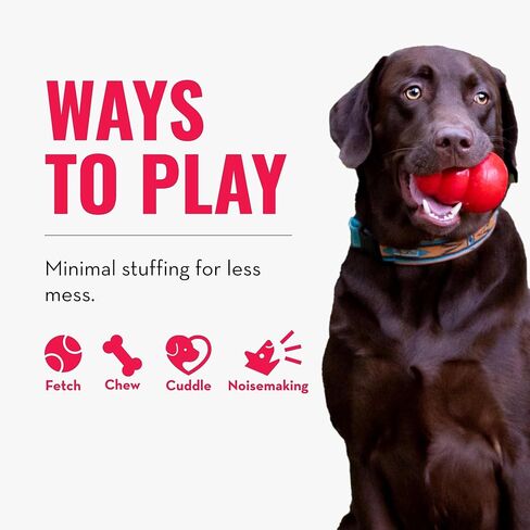 KONG - Wild Knots Bear - Internal Knotted Ropes and Minimal Stuffing for Less Mess (Assorted Colors) - For X-Small Dogs in Saudi Arabia