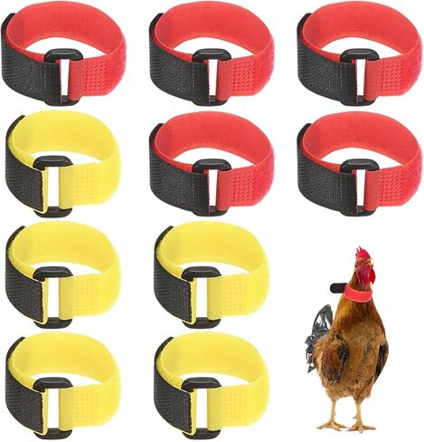 10-Pack Rooster Collars, 8.07" x 0.79" Adjustable Soft Polyester Anti-Noise Neck Belt for Chickens and Poultry Birds, Noise Control Collar [Red/Yellow] in Saudi Arabia