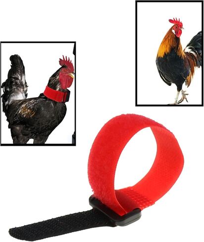 DGZZI 4PCS 20x200mm Reverse Sticky Straps Anti Cocking Collar Model Airplane Strapping Book Organizer Tape Pet Supplies Suitable for Poultry in Saudi Arabia