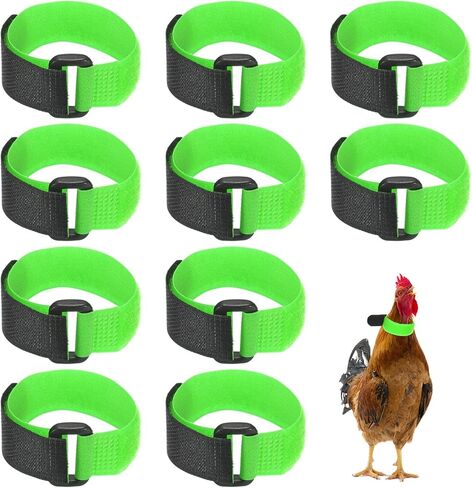 10-Pack Rooster Collars, 8.07" x 0.79" Adjustable Soft Polyester Anti-Noise Neck Belt for Chickens and Poultry Birds, Noise Control Collar [Red/Yellow] in Saudi Arabia