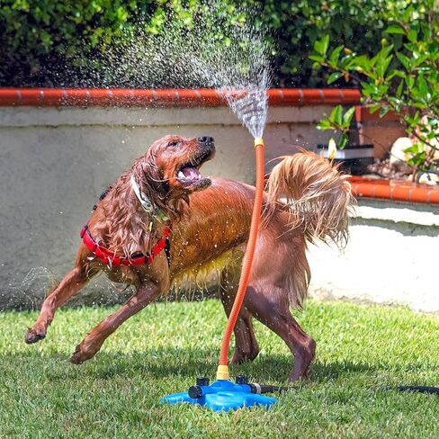 The Wave - The Ultimate Interactive Water Toy for Dogs in Saudi Arabia