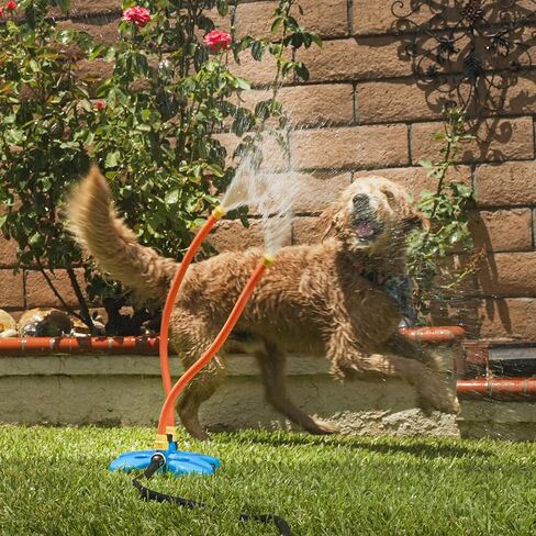 The Wave - The Ultimate Interactive Water Toy for Dogs in Saudi Arabia