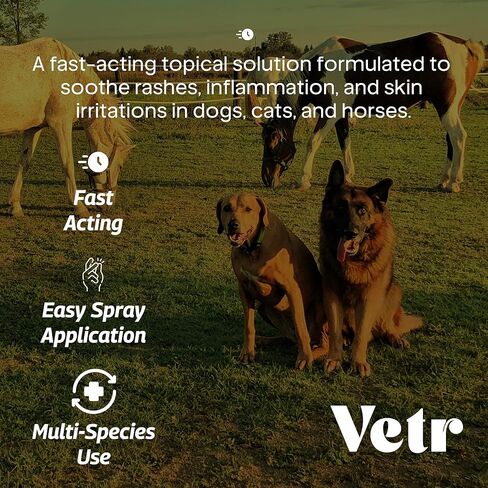 vetr Skin Relief Hydrocortisone Spray for Dogs - Topical Support for Itchy Skin and Hot Spots - 4 oz (120mL) - Vet-Formulated in USA in Kuwait
