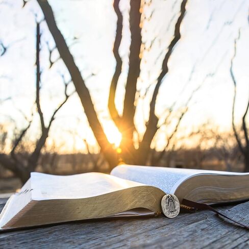 20 قطعة صغيرة من رموز جيب سانت فرانسيس (بوصة واحدة) - عملات شفيع الحيوانات لسحر طوق الكلاب، وهدايا إنقاذ الطبيب البيطري، ومباركة الحيوانات ونشرات الكنيسة (فضية عتيقة، كبيرة الحجم) in Kuwait