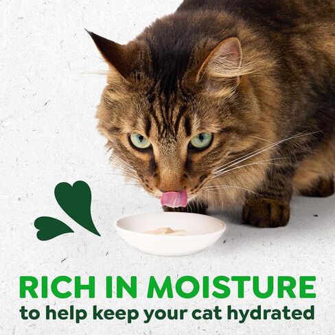 Greenies Feline Smart Purees مكافآت القطط الصحية القابلة لللعق في الأماكن المغلقة مع الدجاج الحقيقي، 0.49 أونصة. أنابيب، 20 عدد in Saudi Arabia