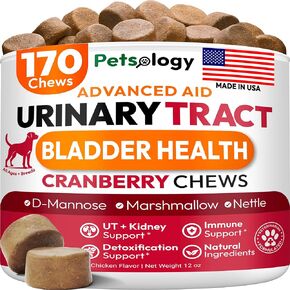 Turkey Tail Mushroom for Dogs - 170 Chews - Lion’s Mane - Shiitake - Reishi - Buddy Immune Support Guard - Mushroom Supplement for Dogs Lumps and Bumps Glucosamine, Health Vitamins Multivitamin in Kuwait