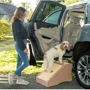 سلالم الحيوانات الأليفة إيزي ستيب II عريضة للغاية من بيت جير، خطوتين/للقطط والكلاب التي يصل وزنها إلى 200 رطل، لون الشوكولاتة، (PG9720XLCH) in Kuwait