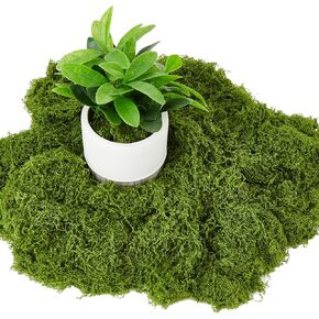 10 أونصة من الطحالب المزيفة للحرف اليدوية، طحالب خضراء صناعية من الطحالب الزهرية DIY، طحالب حديقة خرافية، طحالب ديكور تررم، طحالب مشهدية نموذجية، حشو مزهرية وديكور منزلي، طحلب صناعي قابل لإعادة الاستخدام in Kuwait