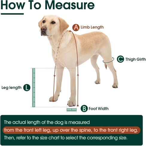 Dog Suspender Boots, Anti-Slip & Fall Waterproof Dog Shoes Leggings, Dog Paw Protector for Small Medium Dogs, Adjustable Dog Boots Pet Shoes for Outdoor Walking in Saudi Arabia