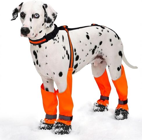 Dog Suspender Boots, Anti-Slip & Fall Waterproof Dog Shoes Leggings, Dog Paw Protector for Small Medium Dogs, Adjustable Dog Boots Pet Shoes for Outdoor Walking in Saudi Arabia