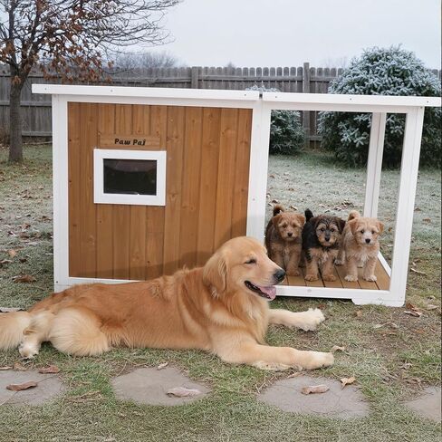 Dog House Outdoor, 59" Insulated Dog Houses, Weatherproof Outdoor Dog House Insulated with Elevated Floor and Openable Roof, Wooden Dog Houses Large in Saudi Arabia