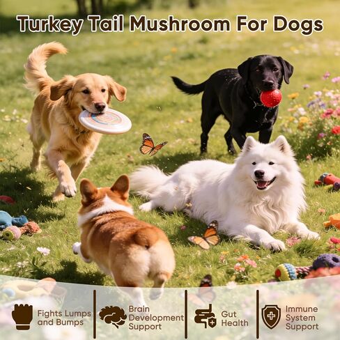 مضغ فطر الحيوانات الأليفة الفاخر - فطر ذيل الديك الرومي للكلاب، مع الريشي وعرف الأسد والشاجا والكركم - دعم المناعة والأمعاء والجلد والمفاصل والعمود الفقري - لجميع السلالات والأحجام (120 مضغ) (1) in Kuwait