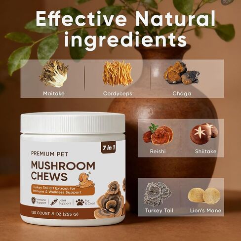 مضغ فطر الحيوانات الأليفة الفاخر - فطر ذيل الديك الرومي للكلاب، مع الريشي وعرف الأسد والشاجا والكركم - دعم المناعة والأمعاء والجلد والمفاصل والعمود الفقري - لجميع السلالات والأحجام (120 مضغ) (1) in Kuwait