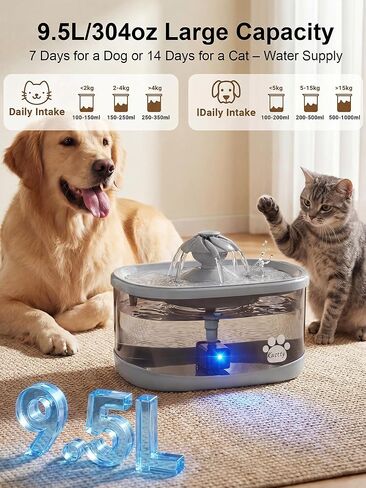 Kastty 9.5L Dog Water Fountain for Large Dogs,2.5Gal Large Capacity Pet Water Fountain with 3 Flow Modes, Automatic Quite Dog Water Bowl Dispenser with Water Window & LED,Easy to Clean(FS82,Grey) in Saudi Arabia