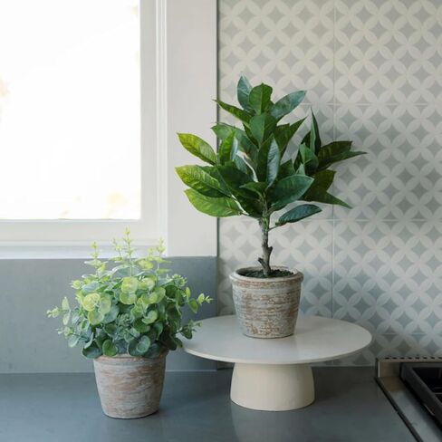 Faux Rosemary Plant & Olive Topiary ، محددات داخلية مصطنعة من 2 ، يعزز التصميم الداخلي ، ويفعل الأوراق التي تشبه الحياة مظهرًا طبيعيًا واقعيًا ، وعاء زارع رمادي مشمل in Kuwait