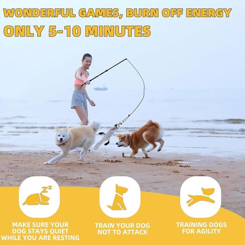 Flirt Pole Dogs، لعبة مطاردة الكلاب مع أصوات صرير بالداخل، لعبة عمود صيد الكلاب للكلاب الكبيرة والمتوسطة والصغيرة لإبقاء الجرو مستمتعًا ومرهقًا بدنيًا، حبل + سمور in Kuwait