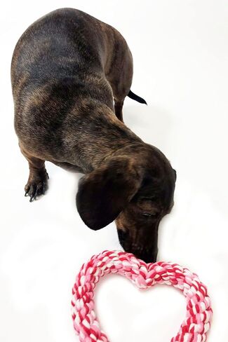 Midlee Valentine's Heart Rope Dog Toy (6" x 6")- Pink, Red, White Cotton Chew Gift in Saudi Arabia