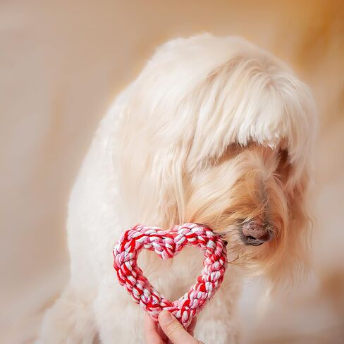 Midlee Valentine's Heart Rope Dog Toy (6" x 6")- Pink, Red, White Cotton Chew Gift in Saudi Arabia