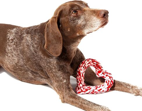 Midlee Valentine's Heart Rope Dog Toy (6" x 6")- Pink, Red, White Cotton Chew Gift in Saudi Arabia