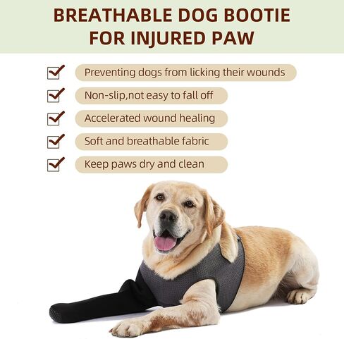 Dog Socks to Prevent Licking Paws ，Breathable Dog Leg Sleeve to Stop Licking and Biting， Firm and Secure Protect Wounds Dog Recovery Sleeve Socks(XL-Right) in Saudi Arabia