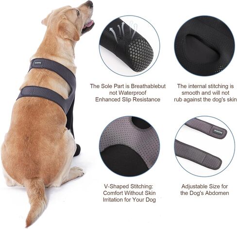 Dog Socks to Prevent Licking Paws ，Breathable Dog Leg Sleeve to Stop Licking and Biting， Firm and Secure Protect Wounds Dog Recovery Sleeve Socks(XL-Right) in Saudi Arabia