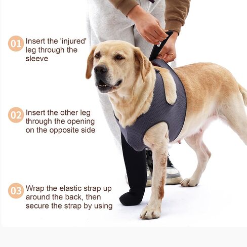 Dog Socks to Prevent Licking Paws ，Breathable Dog Leg Sleeve to Stop Licking and Biting， Firm and Secure Protect Wounds Dog Recovery Sleeve Socks(XL-Right) in Saudi Arabia