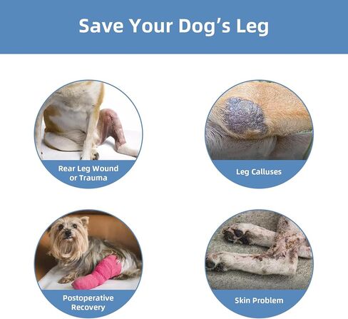 Dog Socks to Prevent Licking Paws ，Breathable Dog Leg Sleeve to Stop Licking and Biting， Firm and Secure Protect Wounds Dog Recovery Sleeve Socks(XL-Right) in Saudi Arabia