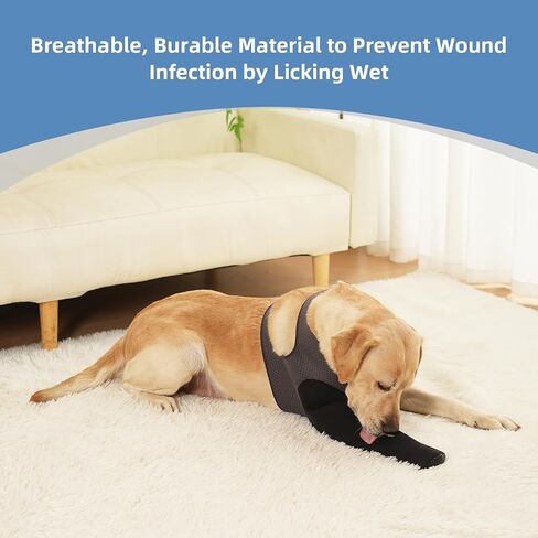 Dog Socks to Prevent Licking Paws ，Breathable Dog Leg Sleeve to Stop Licking and Biting， Firm and Secure Protect Wounds Dog Recovery Sleeve Socks(XL-Right) in Saudi Arabia