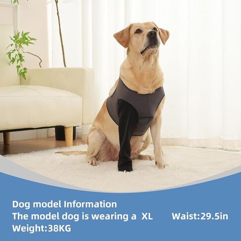 Dog Socks to Prevent Licking Paws ，Breathable Dog Leg Sleeve to Stop Licking and Biting， Firm and Secure Protect Wounds Dog Recovery Sleeve Socks(XL-Right) in Saudi Arabia