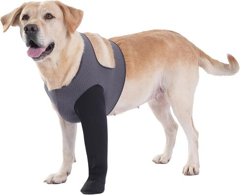 Dog Socks to Prevent Licking Paws ，Breathable Dog Leg Sleeve to Stop Licking and Biting， Firm and Secure Protect Wounds Dog Recovery Sleeve Socks(XL-Right) in Saudi Arabia