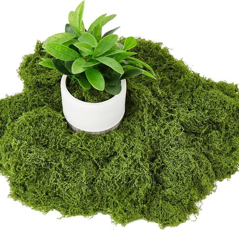 10 أونصة من الطحالب المزيفة للحرف اليدوية، طحالب خضراء صناعية من الطحالب الزهرية DIY، طحالب حديقة خرافية، طحالب ديكور تررم، طحالب مشهدية نموذجية، حشو مزهرية وديكور منزلي، طحلب صناعي قابل لإعادة الاستخدام in Kuwait