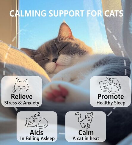 Calming Drops for Cats, Helps to Manage Stress & Anxiety, with Pheromones That May Help Curb Destructive Behavior & Separation Anxiety, Health Supplement for Cats, Sedative-Free, 2 floz in Kuwait